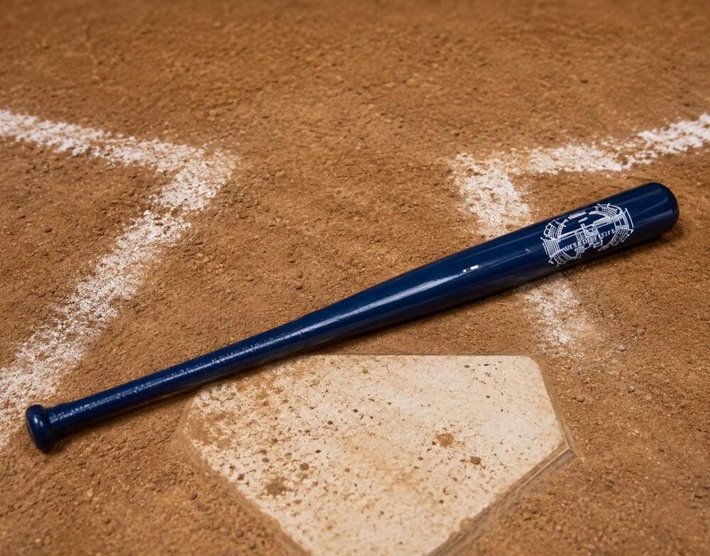 2009 Yankee Stadium Inaugural Mini Souvenir Baseball Bat NYork Yankees 18 Inch